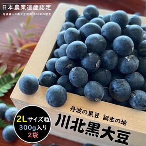 【新物 令和7年産 令和7年12月中旬以降発送 】川北黒大豆　2Lサイズ粒　300g×2袋  黒豆 丹波黒 おせち用 煮豆 グルメ 高級 ブランド