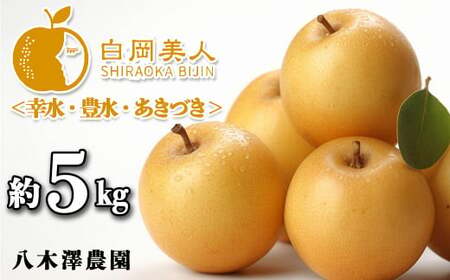 【糖度保障・完熟】八木澤農園の美味しい梨　約5kg　幸水・豊水・あきづき