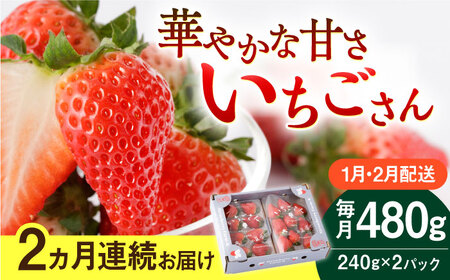 [先行予約 2027年1月〜発送][2回定期便]いちごさん 240g×2パック いちご
