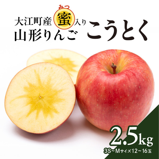 《先行予約》大江町産 山形りんご 「高徳りんご」 2.5kg （M～3S 12～16玉）【2024年10月下旬頃～発送予定】048-006