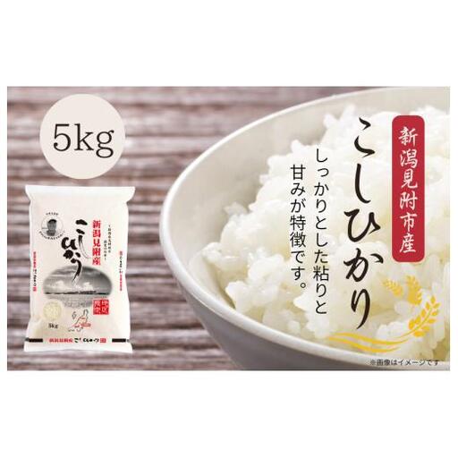 米〈4～7営業日で発送〉令和7年産 新潟見附市産コシヒカリ5kg
