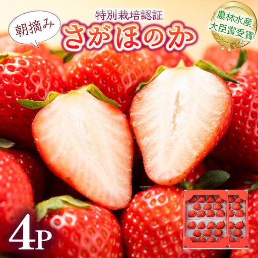 【先行予約】最高級品質”さがほのか” 約1kg（235g×4p）