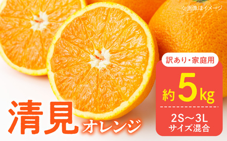 【2027年先行予約】家庭用 訳あり きよみ 清見オレンジ 和歌山 有田 2S～3Lサイズ混合 約5kg_DZ6106