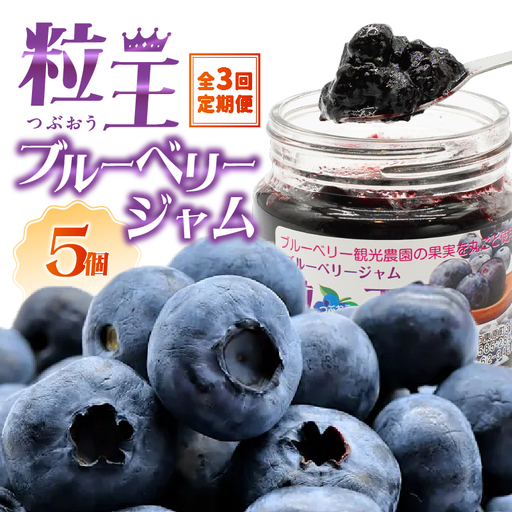 2468-1  【 全3回 定期便 】（ 2ヶ月に1回お届け ）粒王 ブルーベリー ジャム 200g × 5個 KN030-T02 果物 加工食品