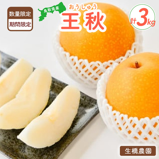 王秋 3kg （生橋農園）梨 和梨 王秋