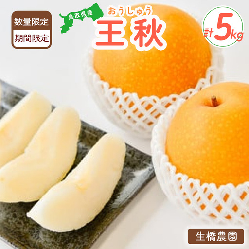 王秋 ５kg 鳥取県産（生橋農園） 梨 和梨 王秋