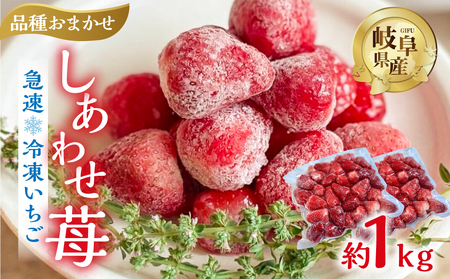 [2026年5月より発送] [ 訳あり ] 冷凍いちご 品種おまかせ 1kg (500g × 2p) 簡易梱包 サイズ 不揃い のため 訳あり 訳アリ フルーツ 果物 苺 いちご 紅ほっぺ よつぼし かおり野 イチゴ アイス ヨーグルト 苺 family農園watanabe 子ども 小分け 家庭用 国産 産地直送 岐阜県 本巣市 1万 10000円 [mt1505]