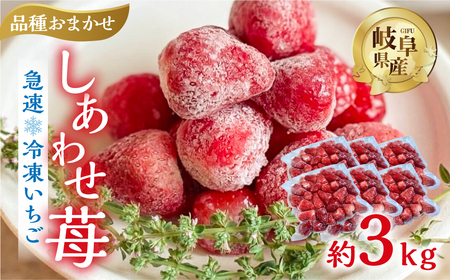 [2026年5月より発送][ 訳あり ] 冷凍いちご 品種おまかせ 3kg (500g × 6p) 簡易梱包 サイズ 不揃い のため 訳あり 訳アリ フルーツ 果物 苺 いちご イチゴ 紅ほっぺ よつぼし かおり野 アイス ヨーグルト 苺 family農園watanabe 子ども 小分け 家庭用 国産 産地直送 岐阜県 本巣市 2万 20000円 [mt1506]