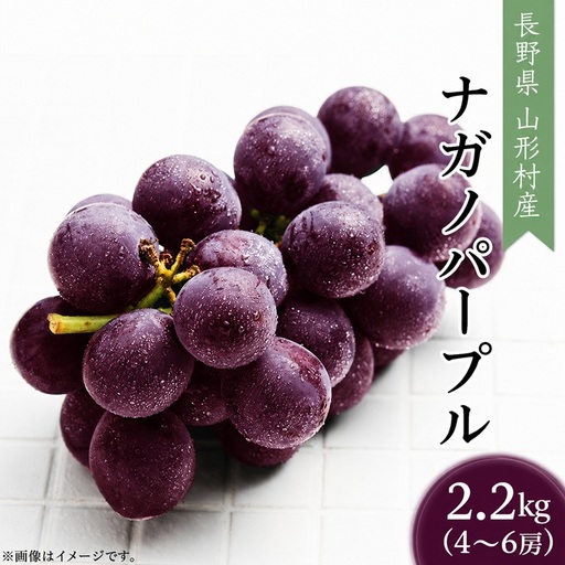 2403ナガノパープル2.2kg（3～5房）【2026年9月上旬頃発送予定】