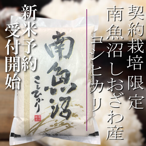 【令和8年産　新米予約】定期便6ヶ月：精米2Kg 契約栽培限定 南魚沼しおざわ産コシヒカリ【定期便 銘柄米 ブランド米 精米 こしひかり コシヒカリ 魚沼産 新潟米 ごはん】【2026年10月上旬から1ヶ月以内に順次発送予定】