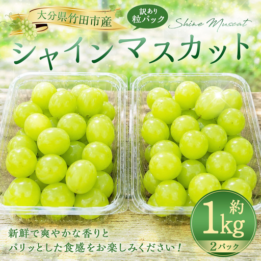 【数量限定】粒パック 訳あり シャインマスカット 約1kg （2パック） 【2026年8月下旬～11月上旬発送開始予定】