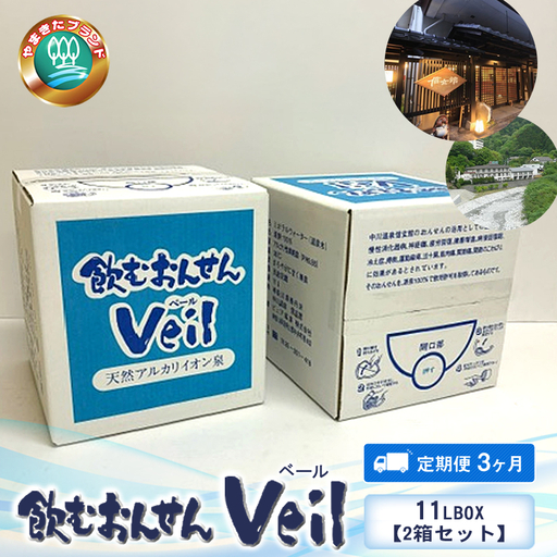 [定期便3ヶ月]飲むおんせんベール11LBOX[2箱セット][ 温泉水 温泉純度100% 保存水 防災 神奈川県 山北町 ]