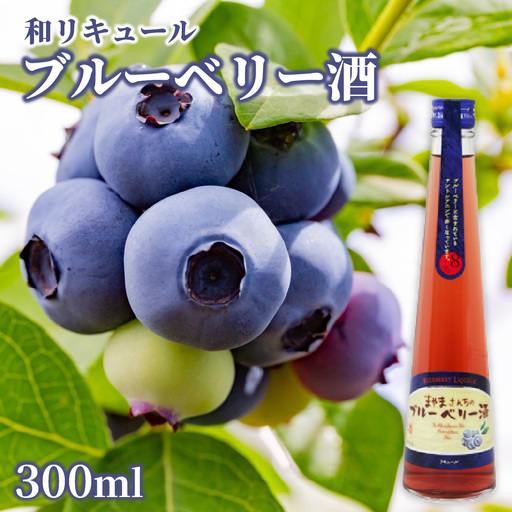 北の庄 蔵元造り 和リキュール「ブルーベリー酒」 [A-038005]