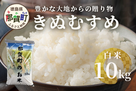 「令和6年産 新米 先行受付」 那賀町相生産 きぬむすめ 白米 10kg 1袋 「2024年10月上旬より発送」 【徳島 那賀 国産 徳島県産 お米 こめ おこめ 米 ご飯 ごはん 白ご飯 白米 10キロ 和食 おにぎり お弁当 白米 精米 おいしい 食べて応援 お取り寄せ 産地直送】YS-35