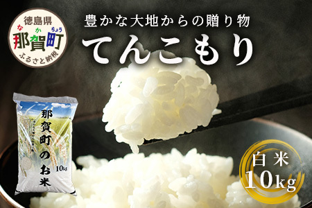 「令和6年産 新米 先行受付」 那賀町相生産 てんこもり 白米 10kg 1袋 「2024年10月上旬より発送」 【徳島 那賀 国産 徳島県産 特A ブランド米 お米 こめ おこめ 米 ご飯 ごはん 白ご飯 白米 10キロ 和食 おにぎり お弁当 白米 精米 おいしい 食べて応援 お取り寄せ 産地直送】YS-39