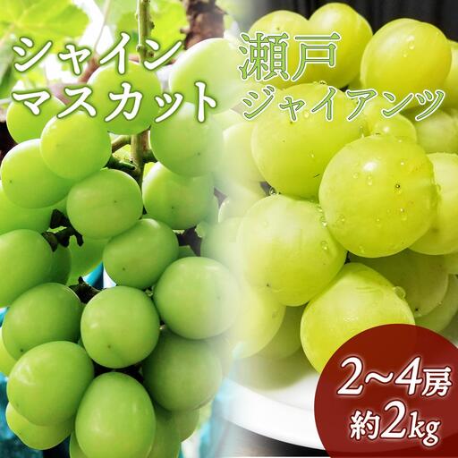 【数量限定】鏡野町産 瀬戸ジャイアンツ＆シャインマスカットセット 2kg（2～4房）
