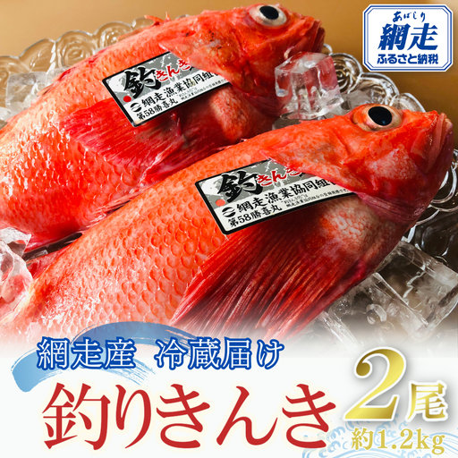 【先行予約】【冷蔵届け】網走産釣きんき【2尾で約1.2kg】（2026年4月中旬頃～11月下旬頃発送） ABAO074