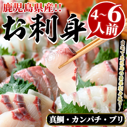 厳選お刺身BOX(4〜6人前) 国産 お刺身 魚貝 魚介 鯛 カンパチ ブリ 海産物 刺身 おつまみ セット [さるがく水産]akn028-16