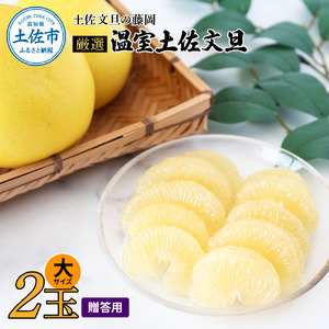 [先行予約]厳選!温室土佐文旦 大玉2玉(約600g×2個) 贈答用木箱入り 高知県土佐市 [土佐文旦の藤岡] [BQBJ003]
