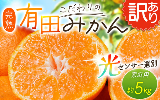 [訳あり]農家直送 有田みかん 約5kg ご家庭用 サイズ混合 ※2026年11月〜2027年1月より順次発送予定(お届け日指定不可)※北海道・沖縄・離島への配送不可 訳ありみかん みかん ミカン 蜜柑 柑橘 フルーツ 果物 くだもの 温州みかんサイズ混合 温州みかん 有機質肥料100% ふるさと納税 柑橘 有田 産地直送[nuk161E]