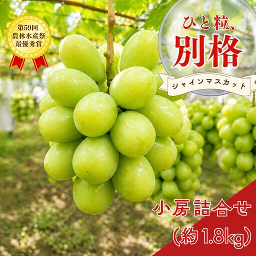 *先行予約* シャインマスカット 小房詰め合わせパック 約600g×3 約1.8kg [2026年発送分] 令和8年 シャインマスカット 新潟県三条市 果物 こひなた果樹園]
