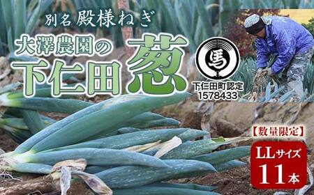 別名“殿様ねぎ" 大澤農園の下仁田葱(LL 11本) とろける 甘い ねぎ ネギ 王様ねぎ 殿様ねぎ 特産 栄養たっぷり ブランド 上州ねぎ すきやき F21K-597