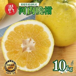 【訳あり】  河内晩柑 10kg(傷み保証300g) 木取り完熟  【発送期間: 2024年８月～ なくなり次第終了】 柑橘 みかん 愛南ゴールド 蜜柑 グレープフルーツ ゼリー ジュース アイス 果物 フルーツ サイズミックス 規格外 吉本農園