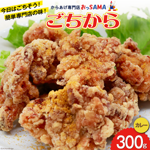 唐揚げ ごちから カレー味 300gx1袋