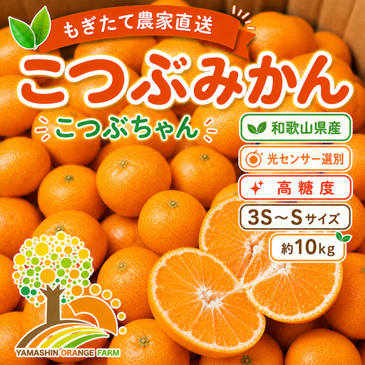 ちっちゃな 有田みかん こつぶみかん10kg （3S～2Sサイズ混合）| 小粒 光センサー選別 温州みかん みかん 柑橘 果物 くだもの フルーツ