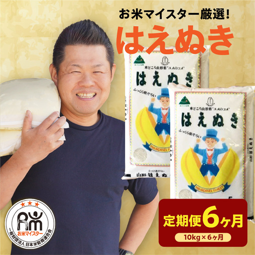 【 先行予約】6ヶ月 定期便 令和8年産 はえぬき 5kg×6回 計30kg