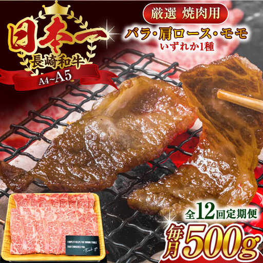 【全12回定期便】【A4~A5】長崎和牛焼肉用　500g【株式会社 MEAT PLUS】[QBS035]
