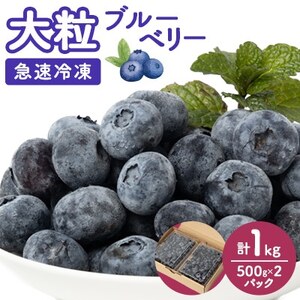 【大粒】冷凍ブルーベリー1kg(500g×2パック)_冷凍 ブルーベリー 大容量 フルーツ_【配送不可地域：離島】【1292650】