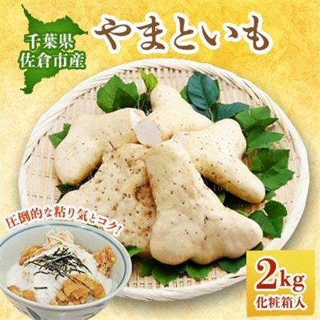 佐倉市産やまといも 2kg×1箱_野菜 いも イモ 芋_[配送不可地域:離島]