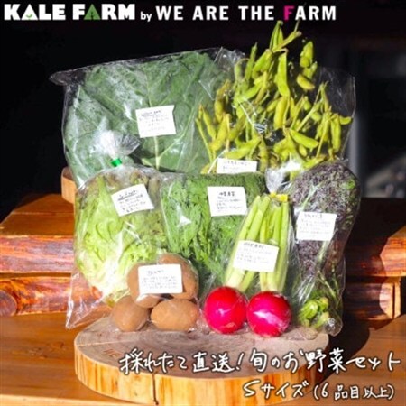 採れたて直送!旬のお野菜セット Sサイズ(6品目以上)【種類おまかせ】_野菜   _【配送不可地域：離島】【1329346】