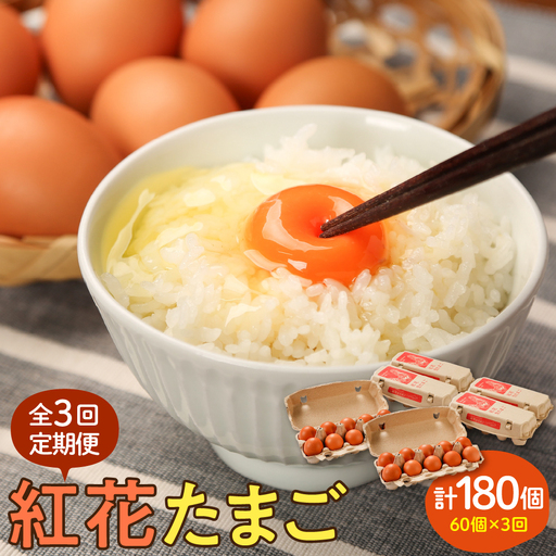 【定期便】 卵 紅花たまご 60個 × 3ヶ月 計180個