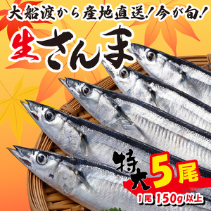 [予約受付] 特大さんま 150g以上 5尾 冷蔵