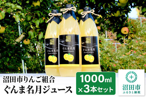 [2027年1月中旬〜2月上旬発送]沼田市りんご組合 ぐんま名月ジュース(ストレート)1000ml×3本セット