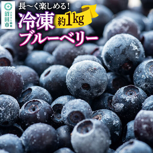 冷凍ブルーベリー 約1kg【群馬県沼田市利根町産】