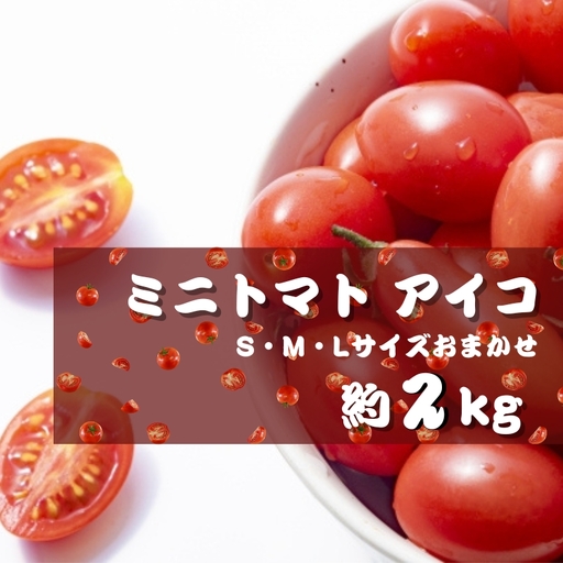 ミニトマト アイコ (松トマト） 約2kg（S・M・Lサイズおまかせ）【2月発送】【sml131A-2】