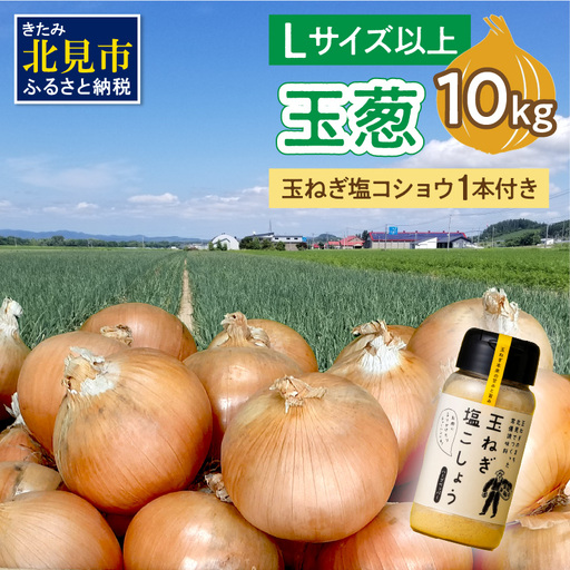 【予約：2026年11月から順次発送】玉葱 10kg Lサイズ以上 玉ねぎ塩こしょう 1本付き ( タマネギ 玉葱 野菜 調味料 塩コショウ )【148-0012-2026】