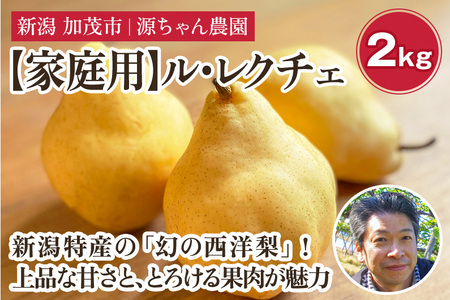 【2024年】新潟特産 幻の洋梨 ル・レクチェ 2kg 【家庭用】（5～7玉）《11月下旬から順次発送》果物 フルーツ 新潟特産 加茂市産ル・レクチェ 梨 西洋梨 加茂市 源ちゃん農園
