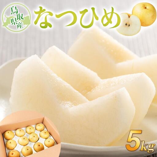 梨 なつひめ 鳥取産 5kg× 1箱