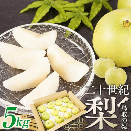 梨 二十世紀梨 鳥取産 5kg× 1箱