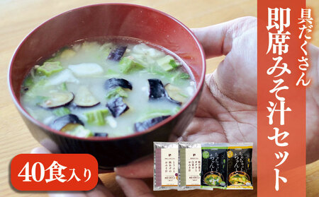 具だくさん 即席 みそ汁 セット(40食入り)インスタント 即席 味噌汁 みそ ギノーみそ[GNM0051]