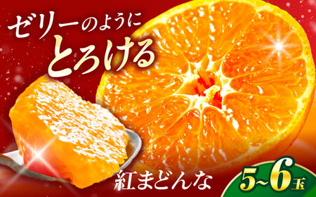 紅まどんな 1箱 5-6個入 フルーツ 果物 みかん BJBI003