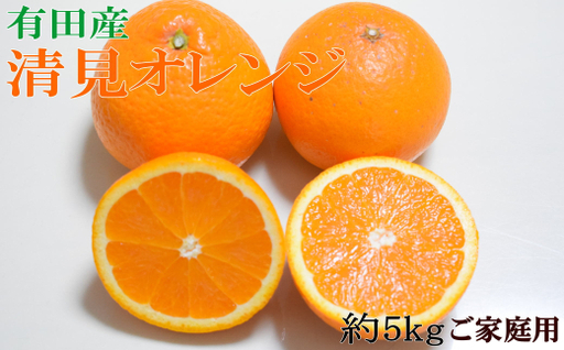 [濃厚] 有田 産 清見 オレンジ 5kg(サイズおまかせ・ご家庭用)※2027年2月中旬〜3月中旬頃より順次発送 [tec959A]