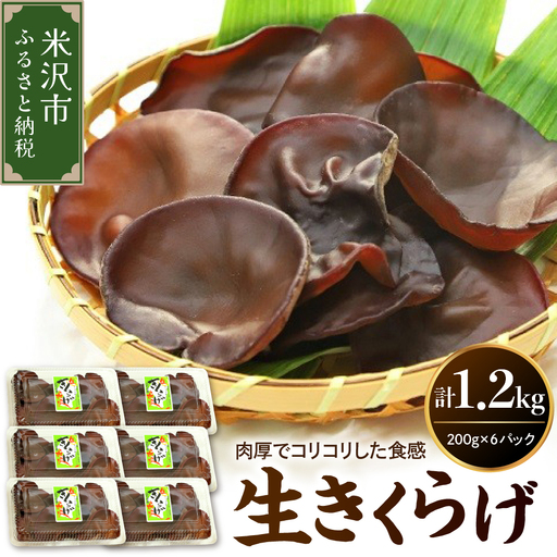 [先行予約][ 期間限定 ] 生きくらげ 計 1.2kg ( 200g × 6パック )〔 2026年 6月 〜 10月 中旬頃お届け 〕 米沢産 無農薬栽培 きくらげ きのこ 冷蔵