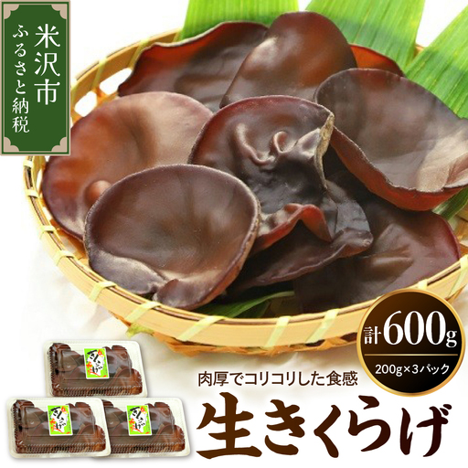 期間限定 生きくらげ 200g×3パック 計600g キクラゲ
