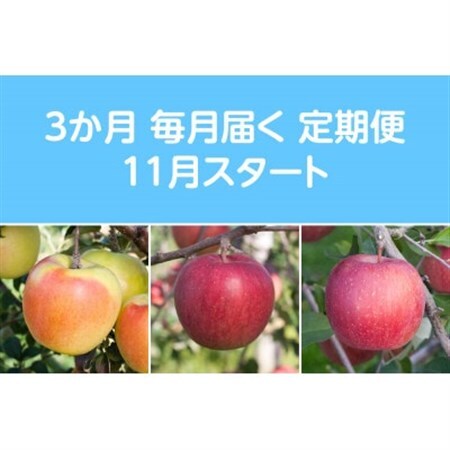 【発送月固定定期便】〈2026年11月より順次発送〉甘味系・青森県産りんご約5kg 全3回_果物・フルーツ りんご  リンゴ 林檎  定期便 定期便  _【配送不可地域：離島・沖縄県】【4051695】