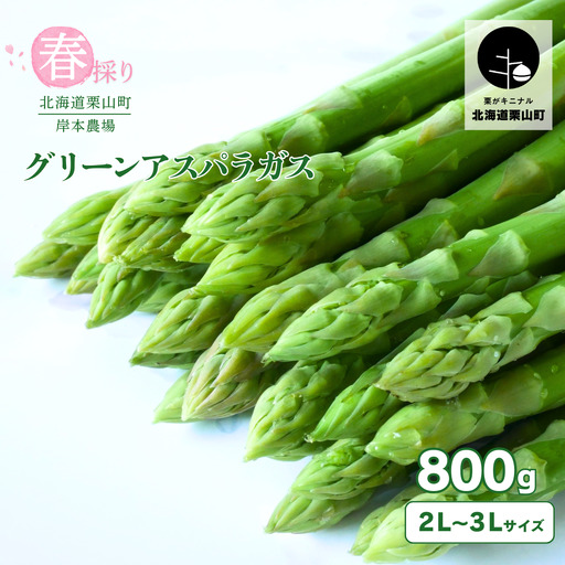 【2027年度産 先行予約】極太 北海道産 春採りグリーンアスパラガス 約800g 3L～2L 岸本農場